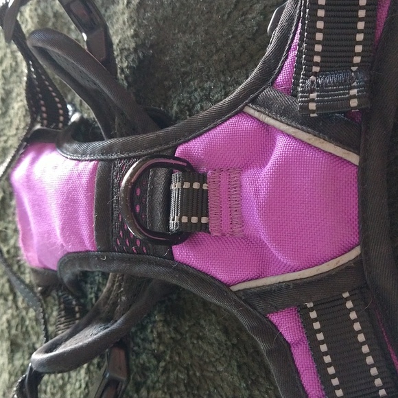 PhoePet Medium Dog Harness - Picture 7 of 7